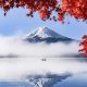 Japan Photography by Lu Hasegawa