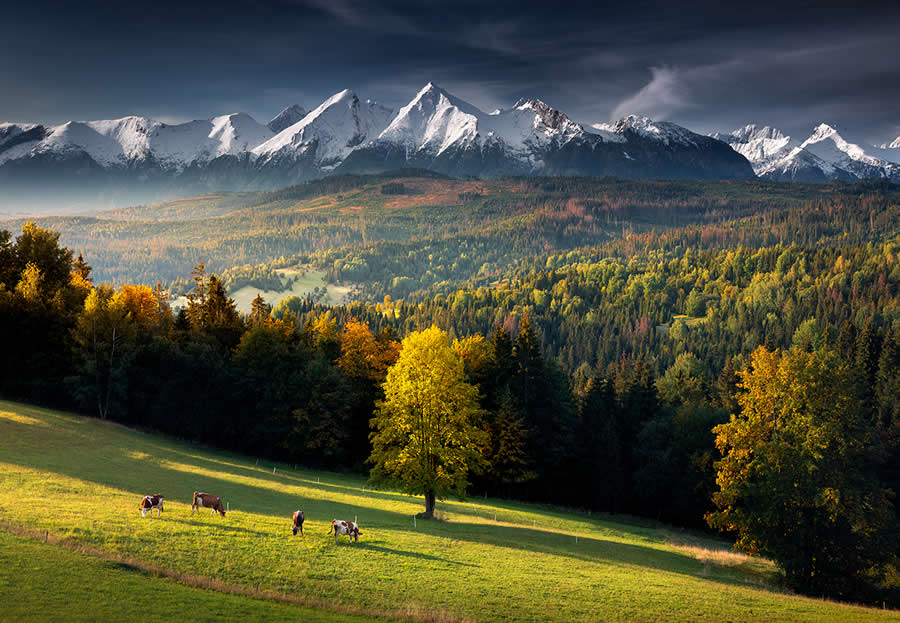 Landscape Photography by Karol Nienartowicz