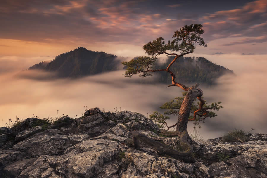Landscape Photography by Karol Nienartowicz
