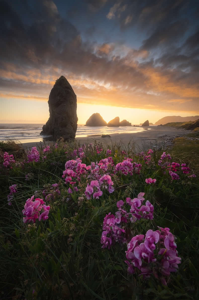 Landscape Photography by Michael Shainblum