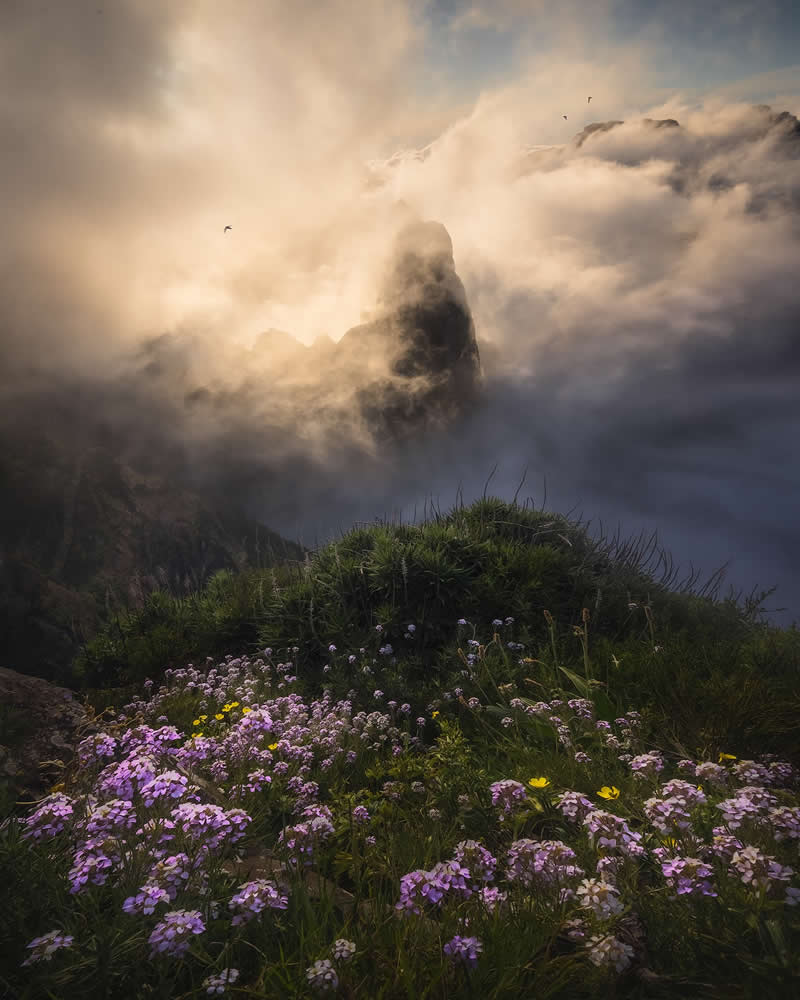 Landscape Photography by Michael Shainblum