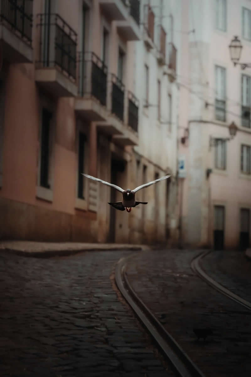 Lisbon Street Photography Eugenia Hanganu