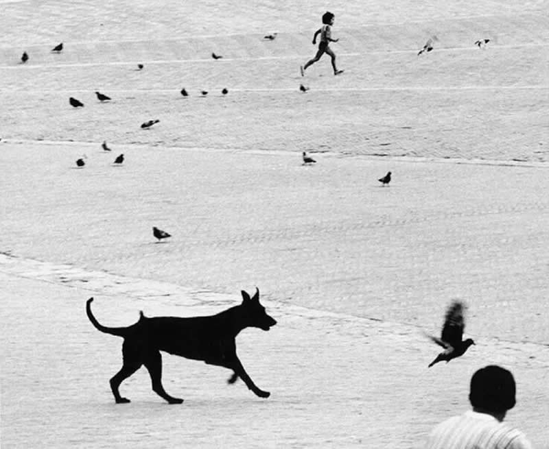 Black and White Photos From World-Renowned Photographers