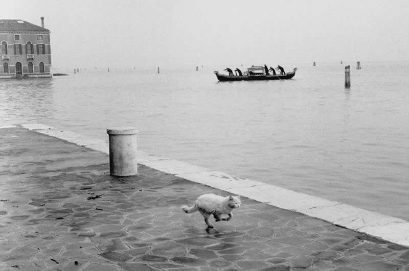 Gianni Berengo Gardin - Fotoğraf Ustalarından İlham