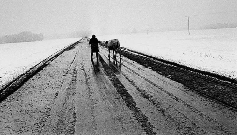 Vladimir Lagrange - A Master Photographer Who Captured the Soul of Soviet Life