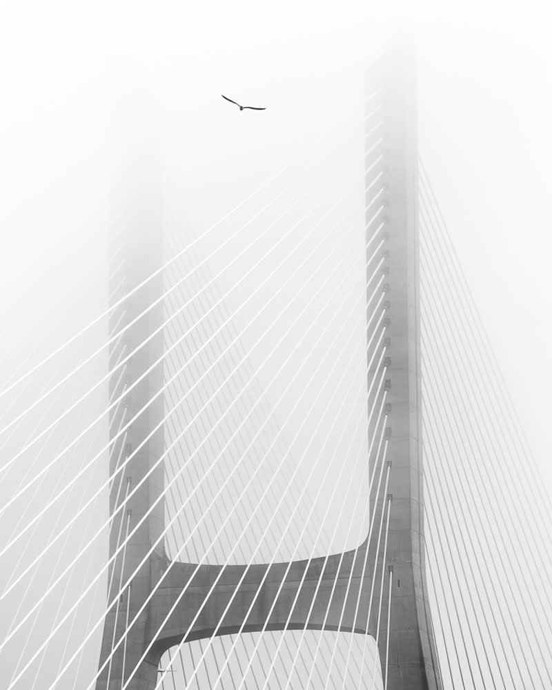 2025 Monovisions Black and White Photography Awards