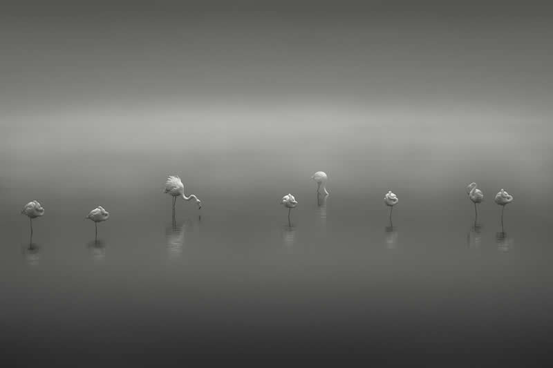 2025 Monovisions Black and White Photography Awards
