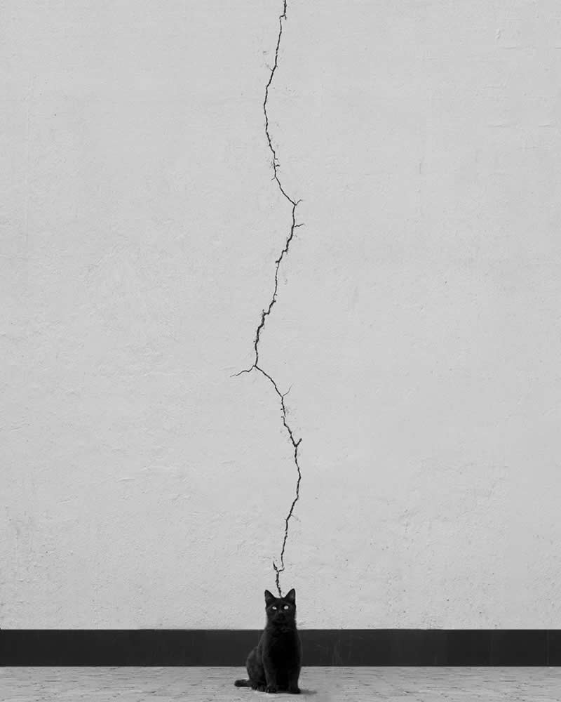 2025 Monovisions Black and White Photography Awards