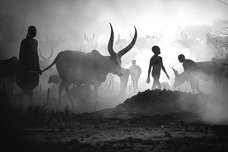 2025 Monovisions Black and White Photography Awards