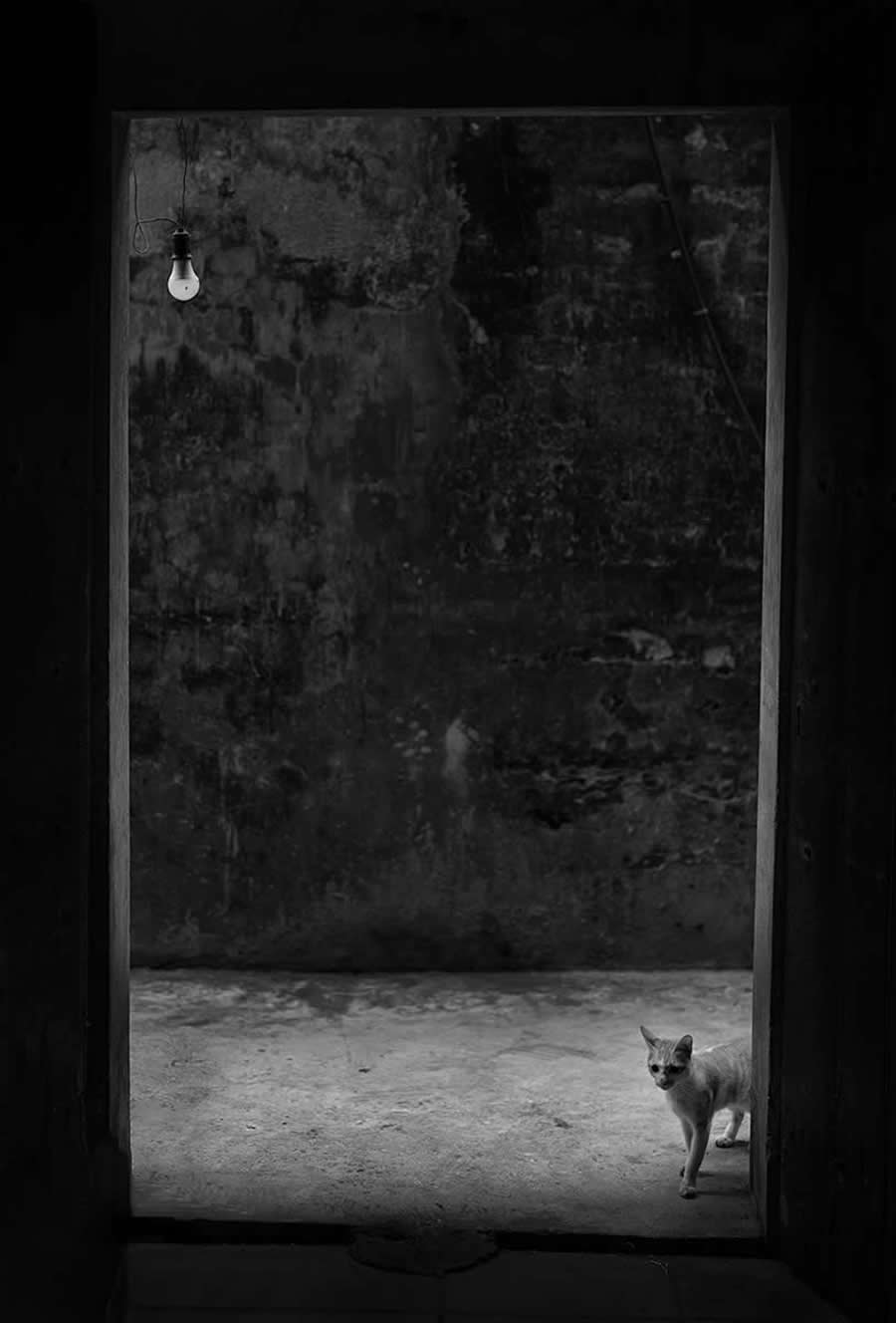 2025 Monovisions Photography Awards Street Winners