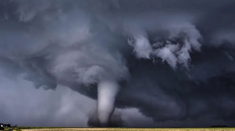 Nature Fine Art Photography Awards