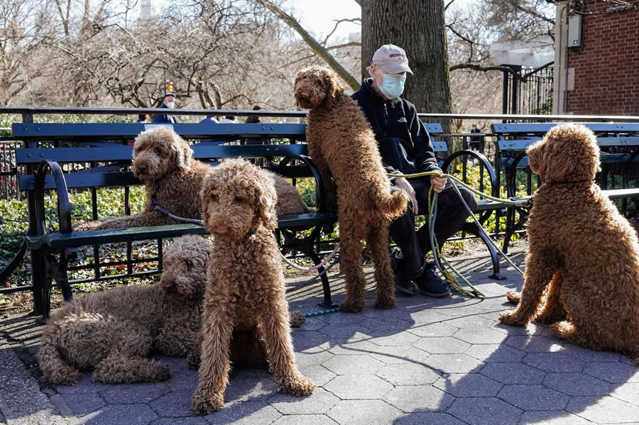 New York City Street Photography by Mathias Wasik