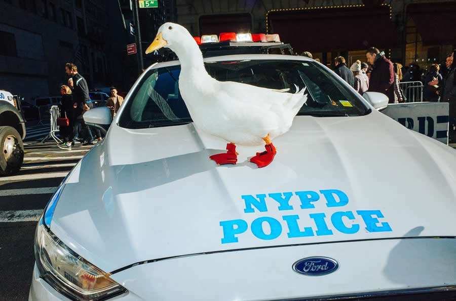 New York City Street Photography by Mathias Wasik
