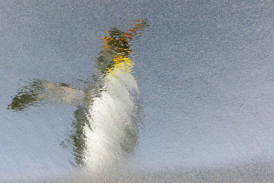 2025 Ocean Photographer Of The Year Finalists