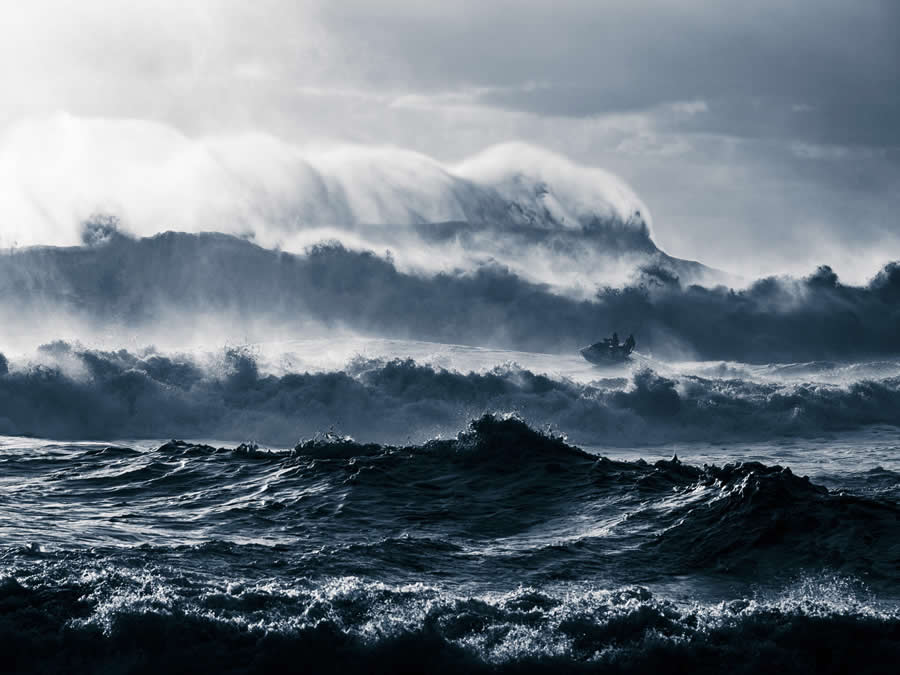 2025 Ocean Photographer Of The Year Finalists
