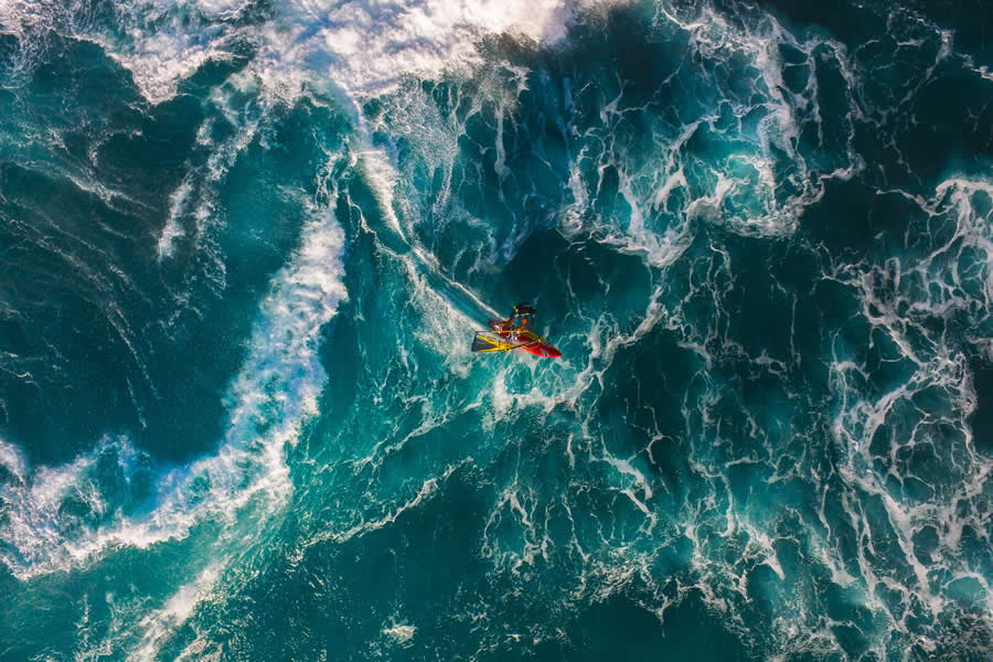 2025 Ocean Photographer Of The Year Finalists