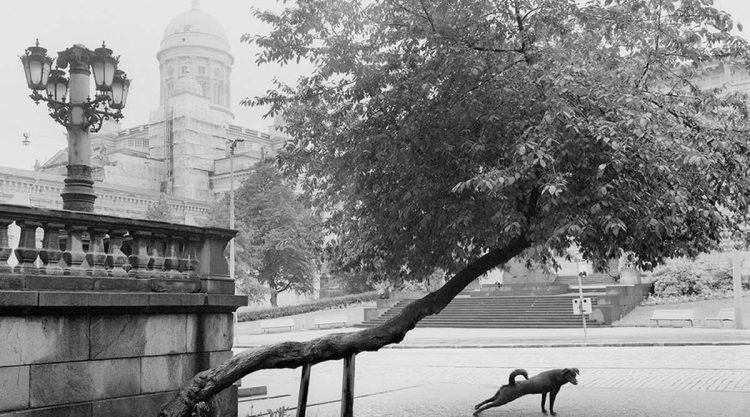 Pentti Sammallahti - Inspiration from Masters of Photography