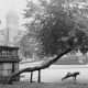 Pentti Sammallahti - Inspiration from Masters of Photography