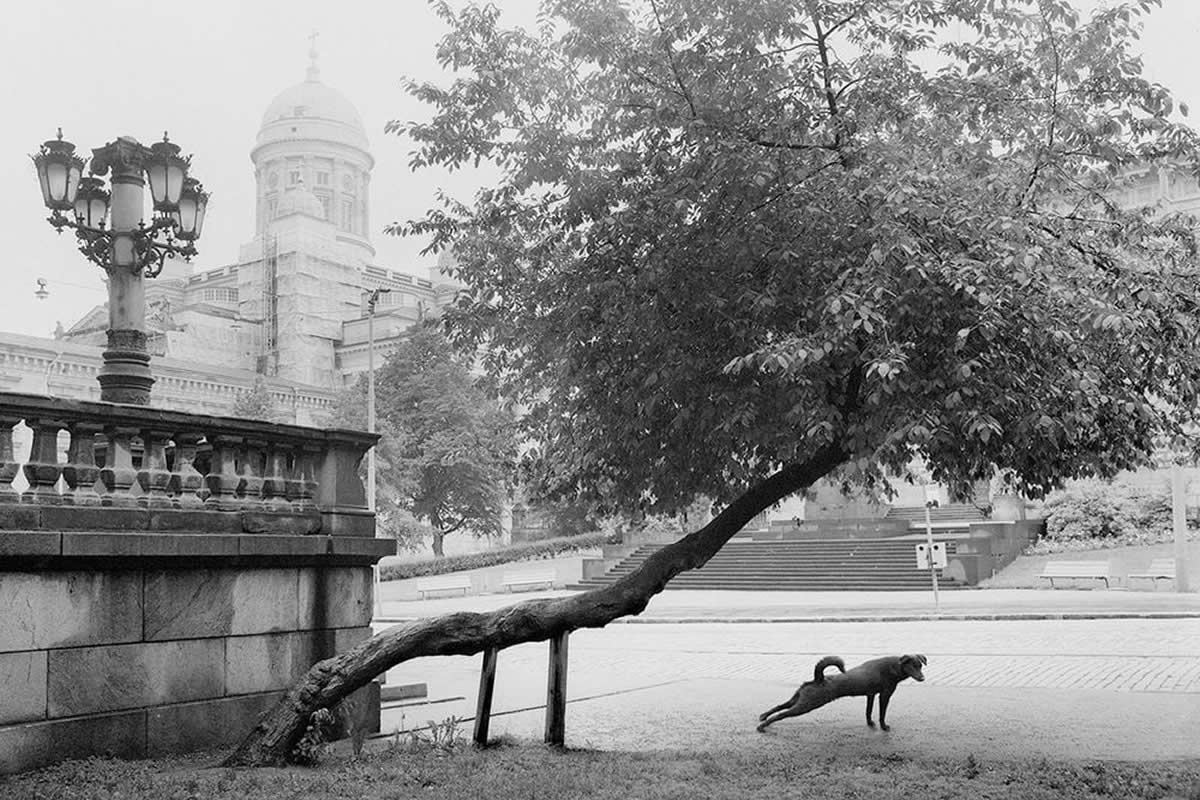 Pentti Sammallahti: The Poetic Vision of a Master of Black and White Photography