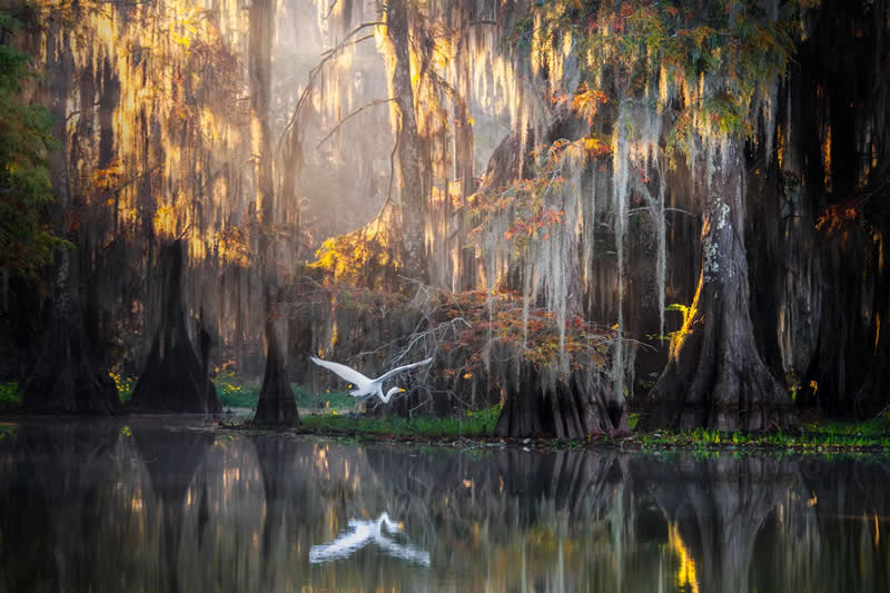 Landscape Photos from the reFocus 2025 Color Photography Awards 