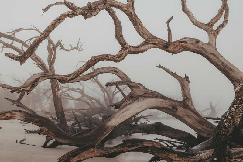 Landscape Photos from the reFocus 2025 Color Photography Awards 