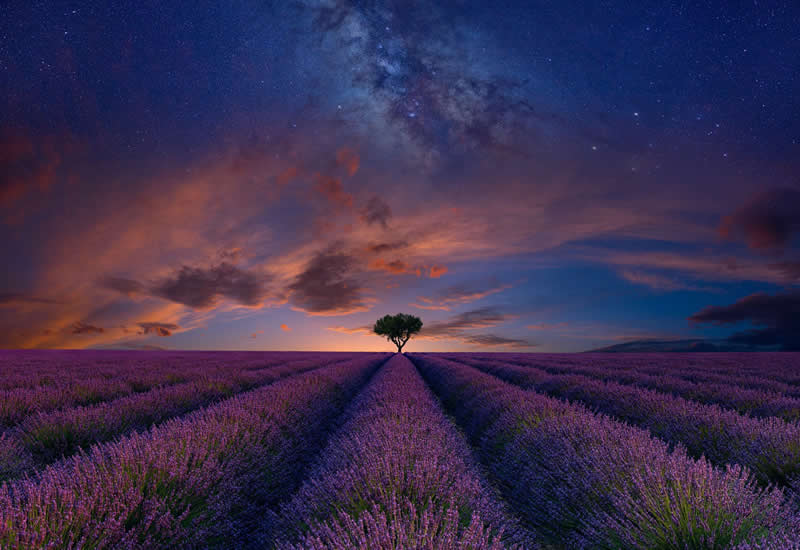 Landscape Photos from the reFocus 2025 Color Photography Awards 