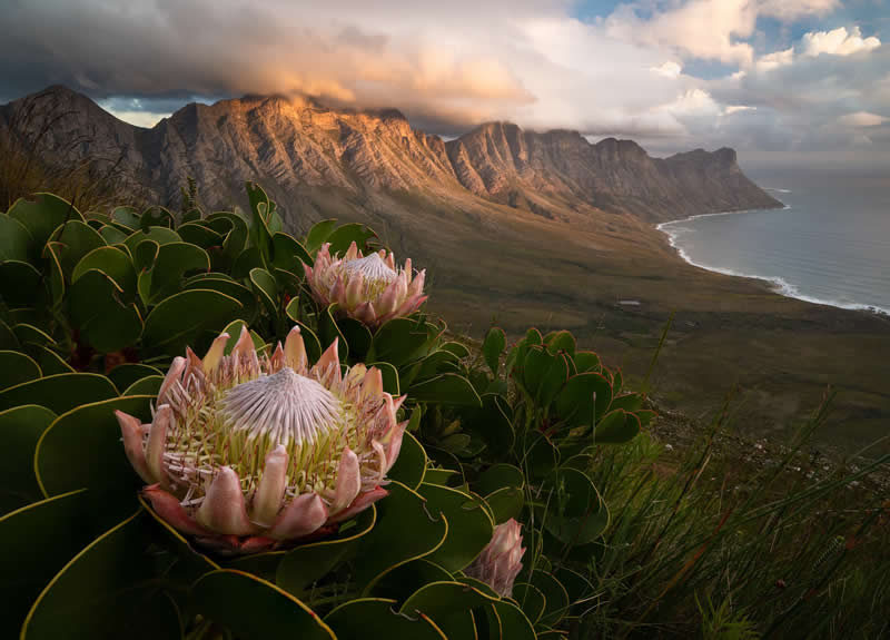 Landscape Photos from the reFocus 2025 Color Photography Awards 