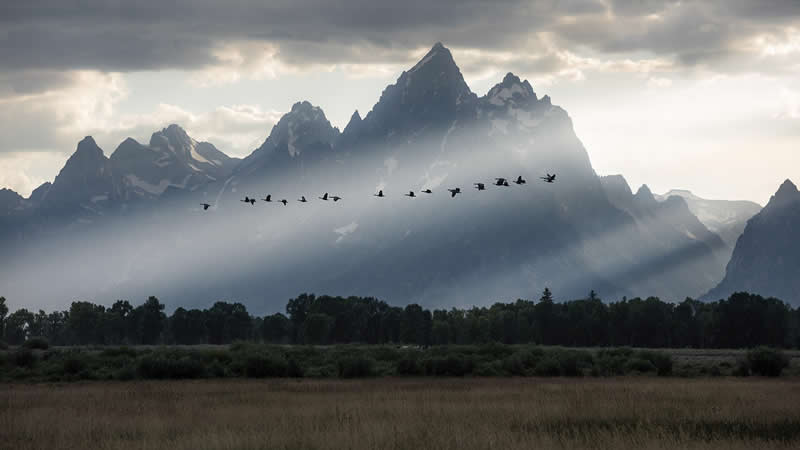Landscape Photos from the reFocus 2025 Color Photography Awards 