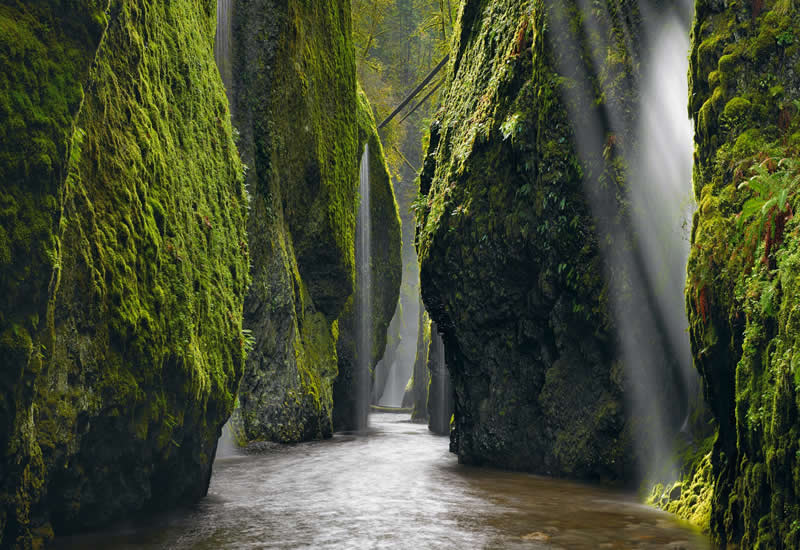 Landscape Photos from the reFocus 2025 Color Photography Awards 