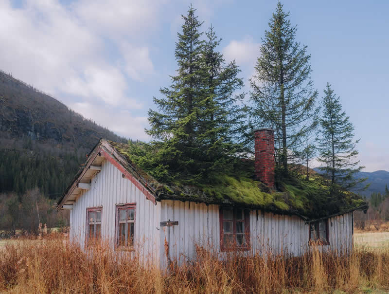 Landscape Photos from the reFocus 2025 Color Photography Awards 