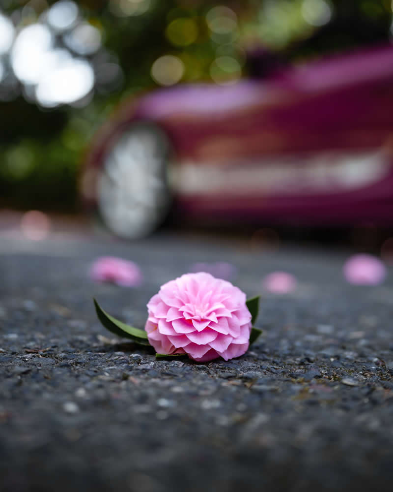 Spring Shades and Porsches