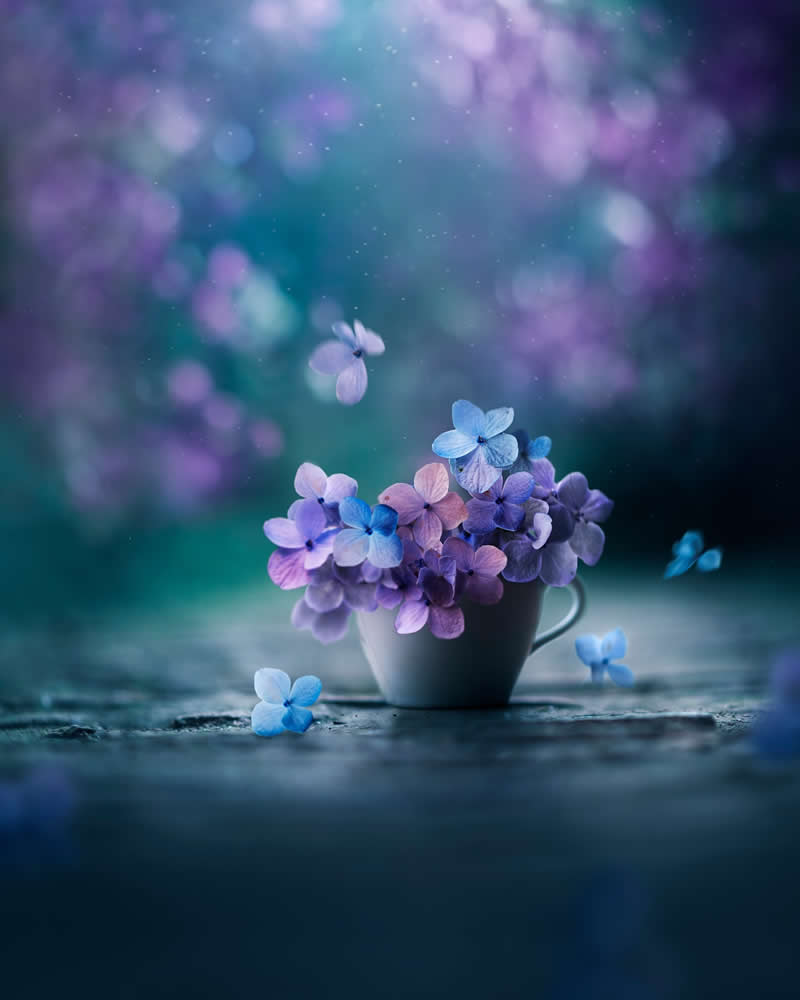 Still Life Photography by Ashraful Arefin