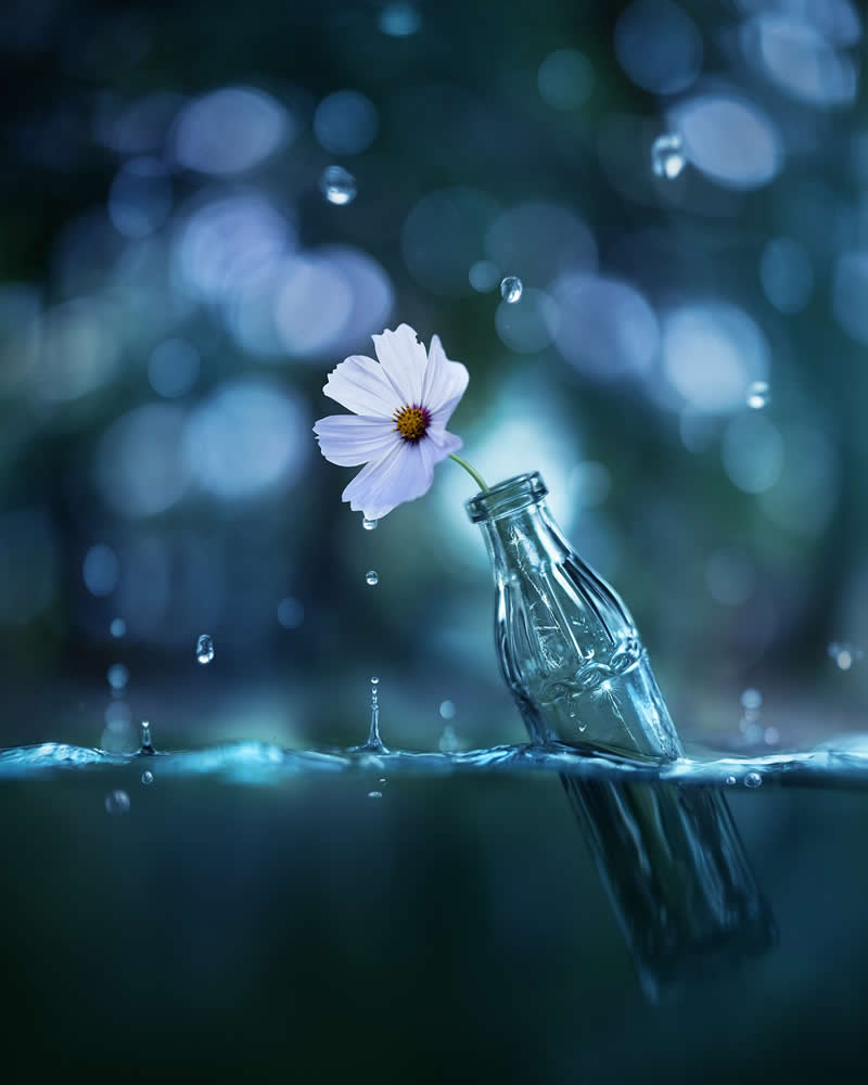 Still Life Photography by Ashraful Arefin