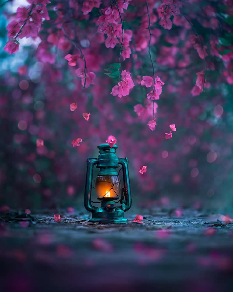 Still Life Photography by Ashraful Arefin