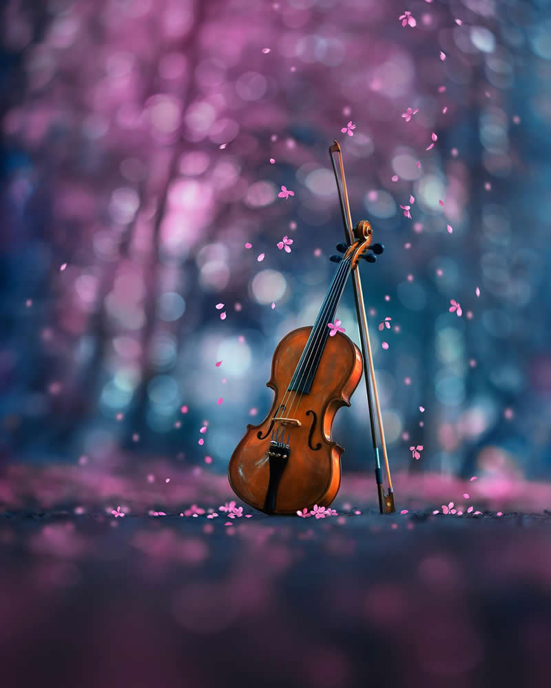 Still Life Photography by Ashraful Arefin