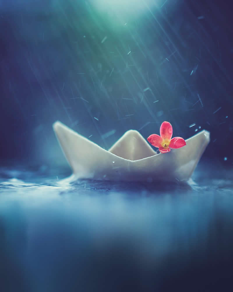Still Life Photography by Ashraful Arefin