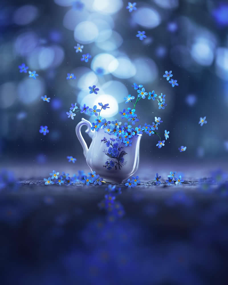 Still Life Photography by Ashraful Arefin