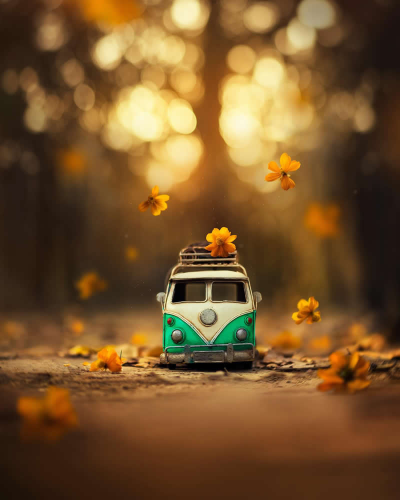 Still Life Photography by Ashraful Arefin