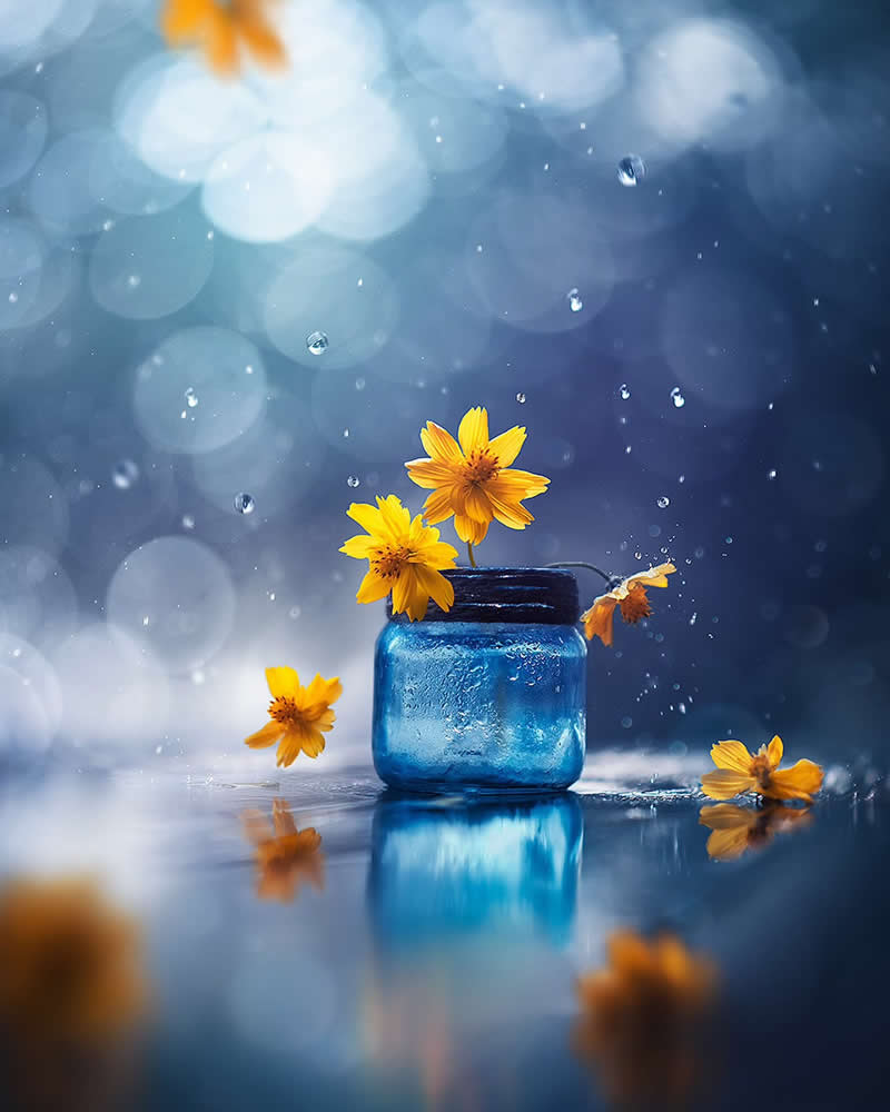 Still Life Photography by Ashraful Arefin