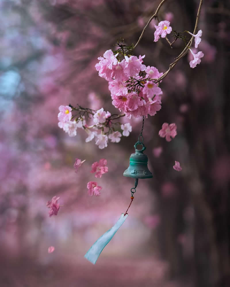 Still Life Photography by Ashraful Arefin