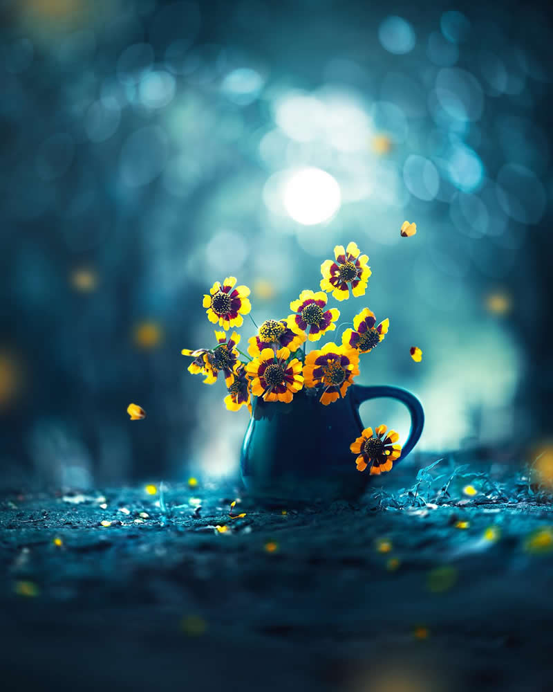 Still Life Photography by Ashraful Arefin