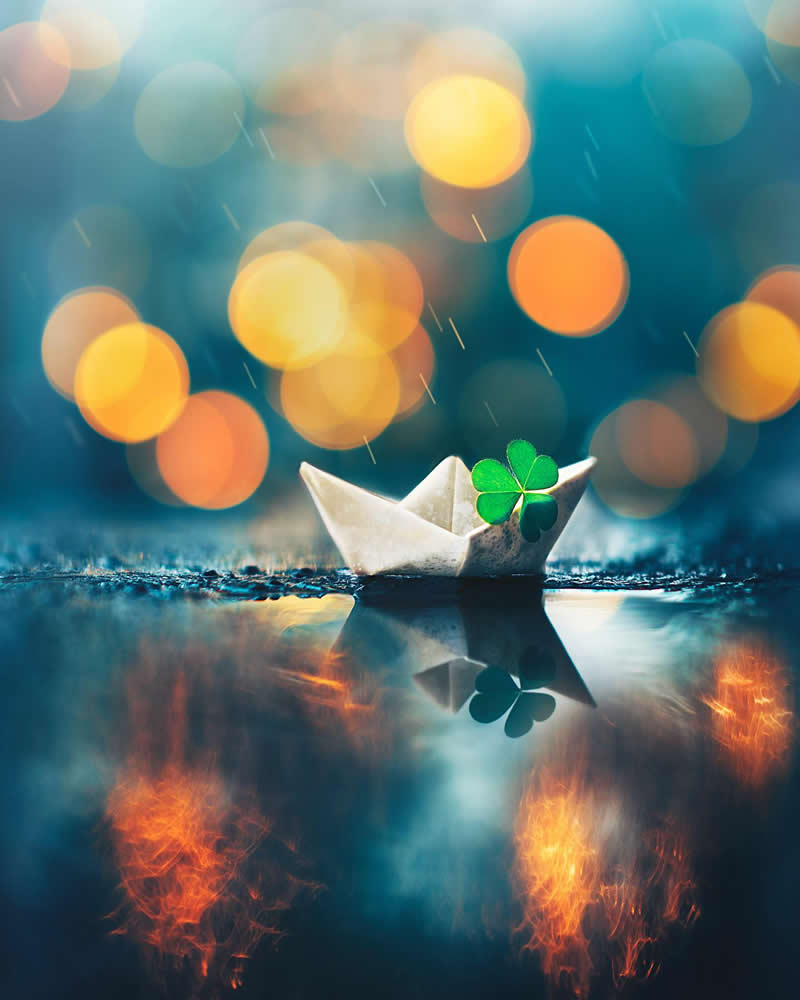Still Life Photography by Ashraful Arefin