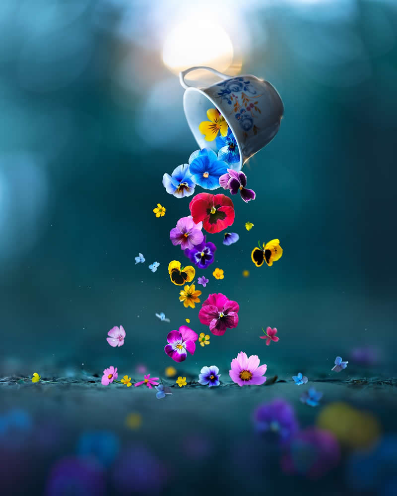 Still Life Photography by Ashraful Arefin