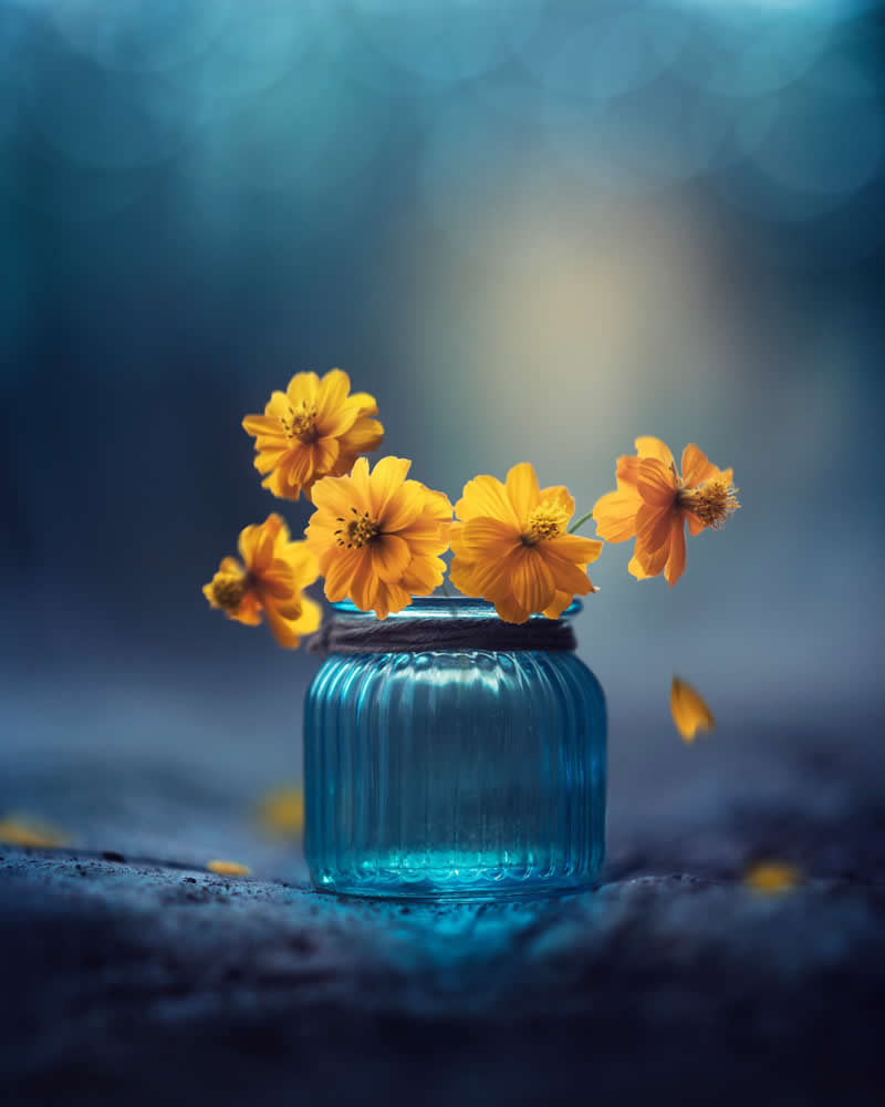 Still Life Photography by Ashraful Arefin