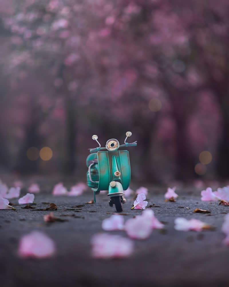 Still Life Photography by Ashraful Arefin
