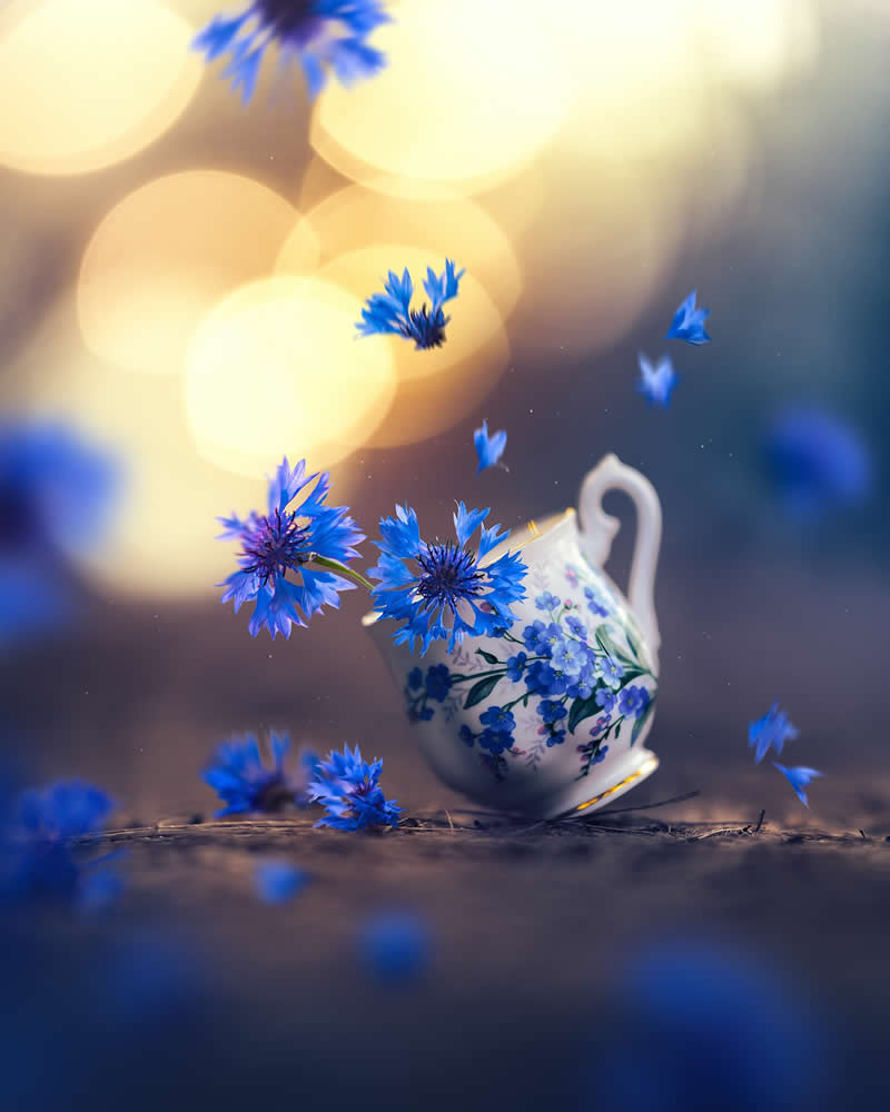 Still Life Photography by Ashraful Arefin