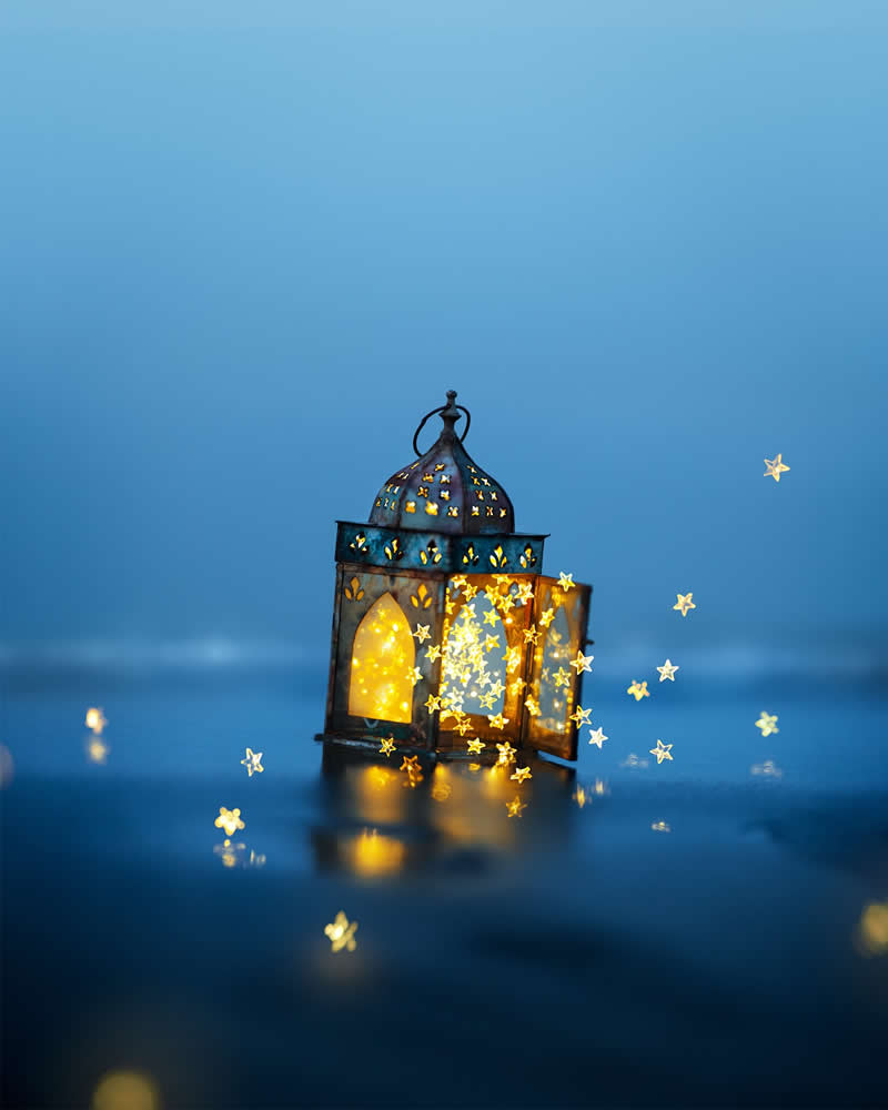 Still Life Photography by Ashraful Arefin
