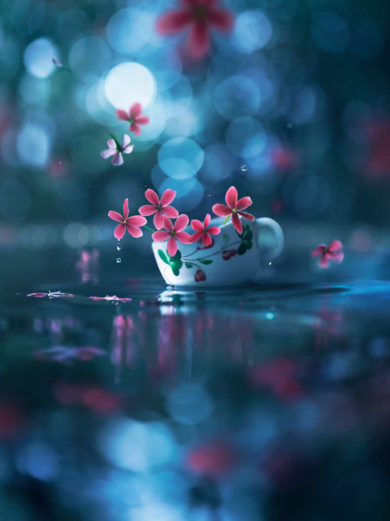Still Life Photography by Ashraful Arefin