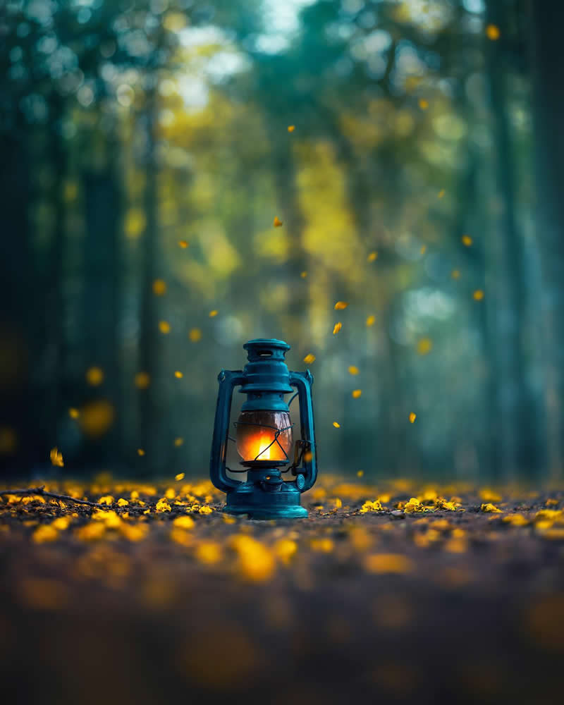 Still Life Photography by Ashraful Arefin
