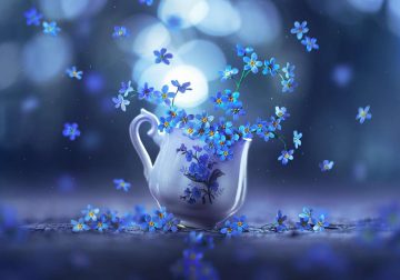 Still Life Photography by Ashraful Arefin